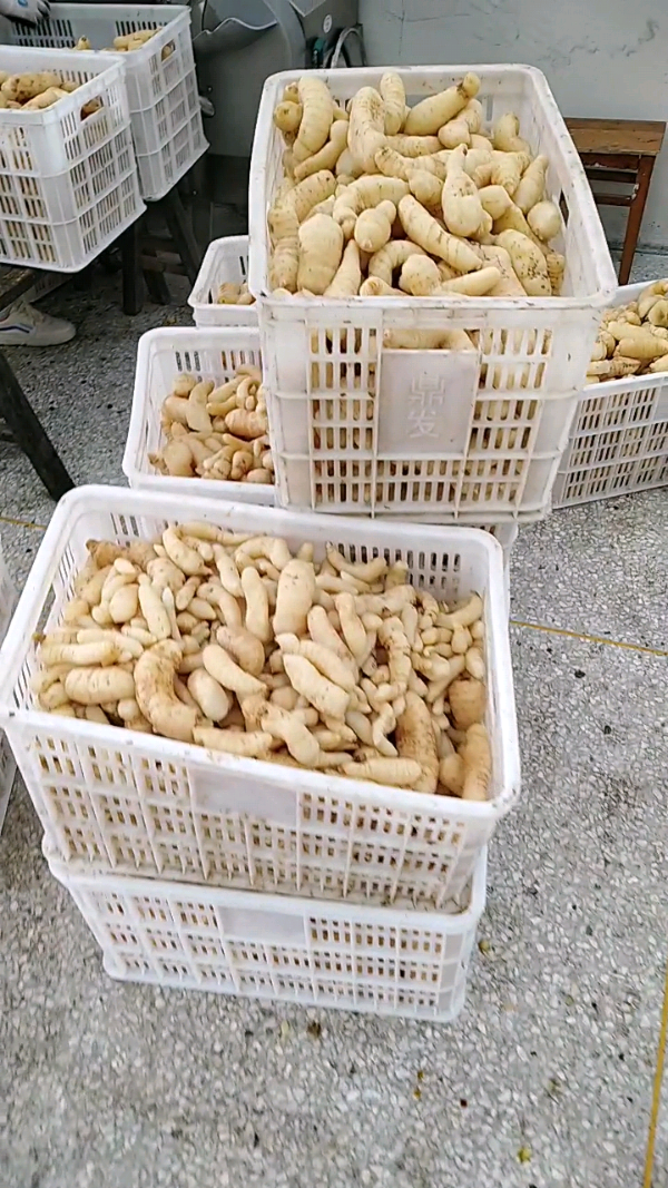 益陽瑪山產(chǎn)業(yè)機(jī)械有限公司，湖南益陽螺旋風(fēng)管廠家，熱風(fēng)食品烤房